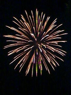 ARCHIVIO: S.SILVESTRO/CAPODANNO PER VOI