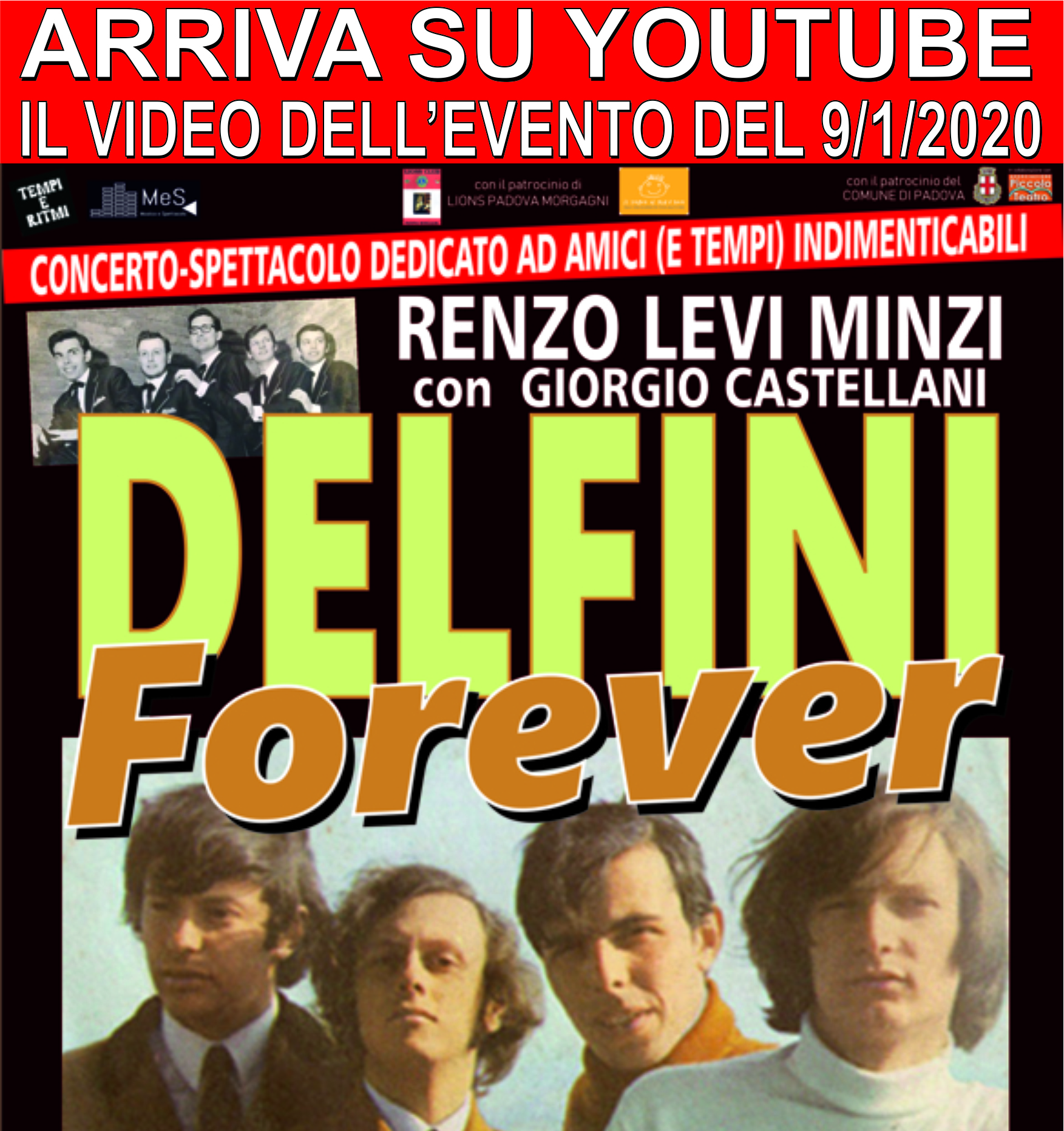 IN STREAMING “DELFINI FOREVER” – OGNI DOMENICA POMERIGGIO DI GENNAIO (QUATTRO PUNTATE)